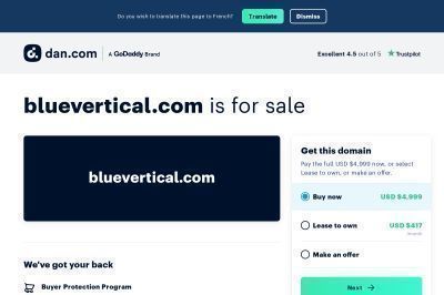 bluevertical.com screenshot