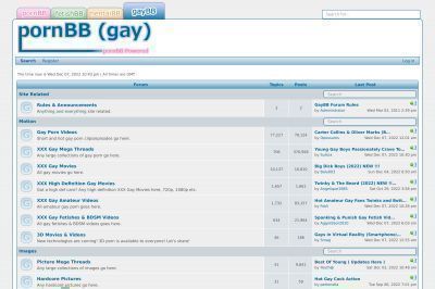 gay.pornbb.org screenshot