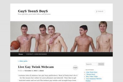 gaysteensboys.com screenshot