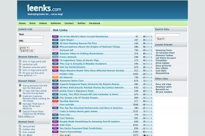 leenks.com screenshot
