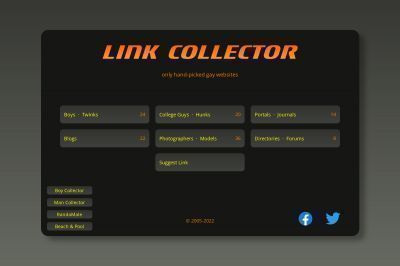 linkcollector.net screenshot