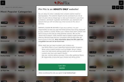 pinflix.com screenshot
