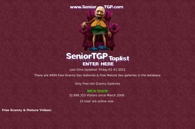 seniortgp.com screenshot