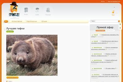 spynet.ru screenshot