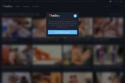 thegay.com screenshot