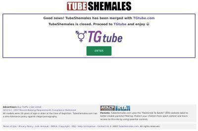 tubeshemales.com screenshot
