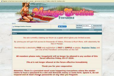 vintage-erotica-forum.com screenshot