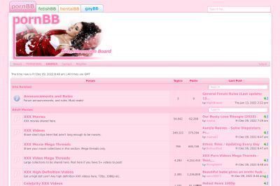 pornbb.org screenshot